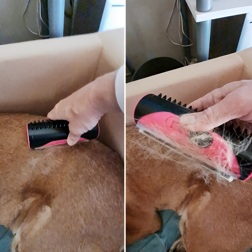 pethairremovercomb4.png