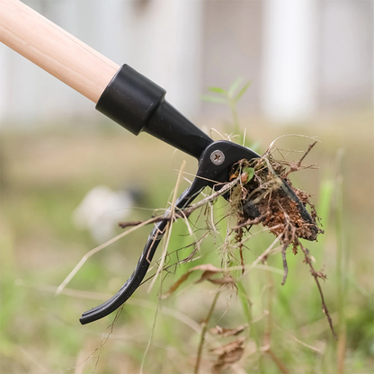crabgrass puller