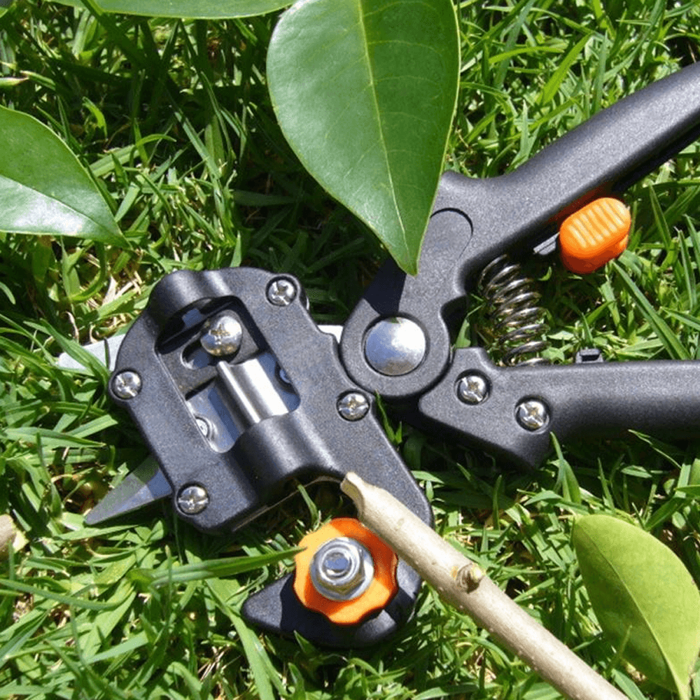 professionalgraftingandpruningtool3.png