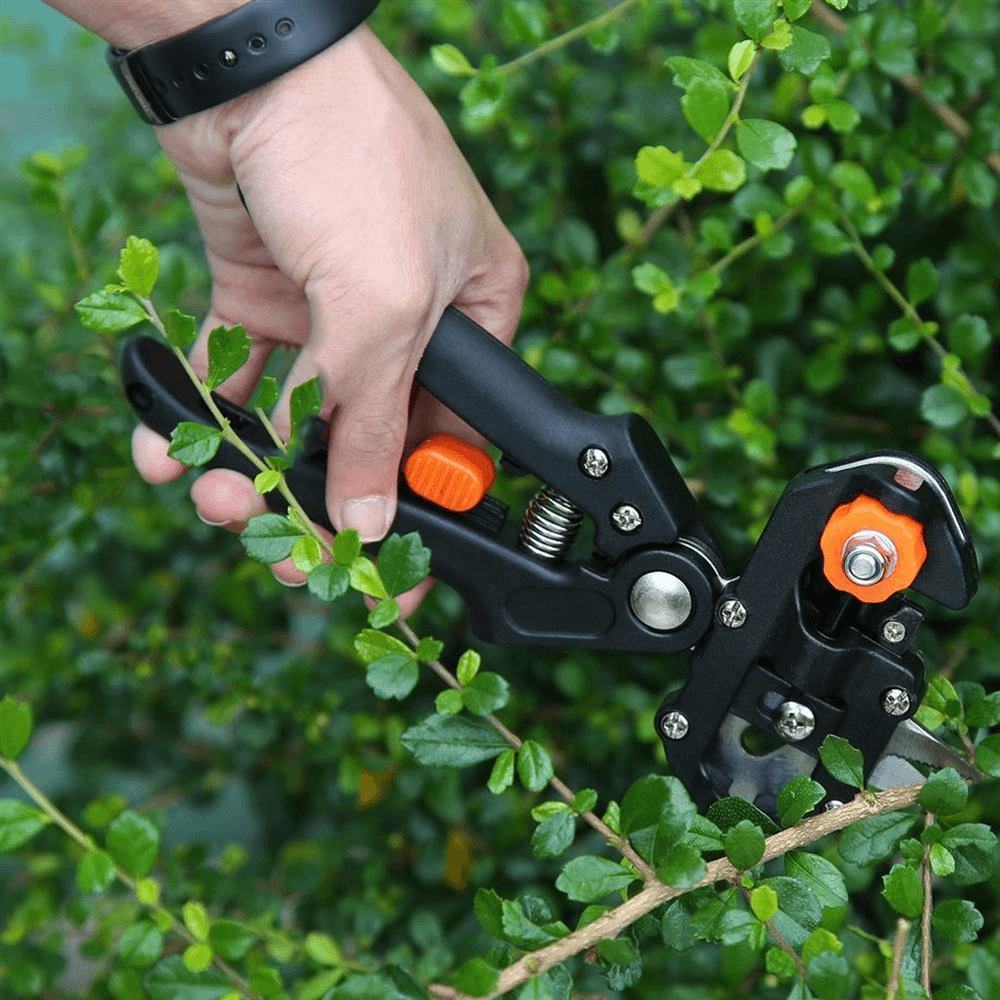 professionalgraftingandpruningtool1.png