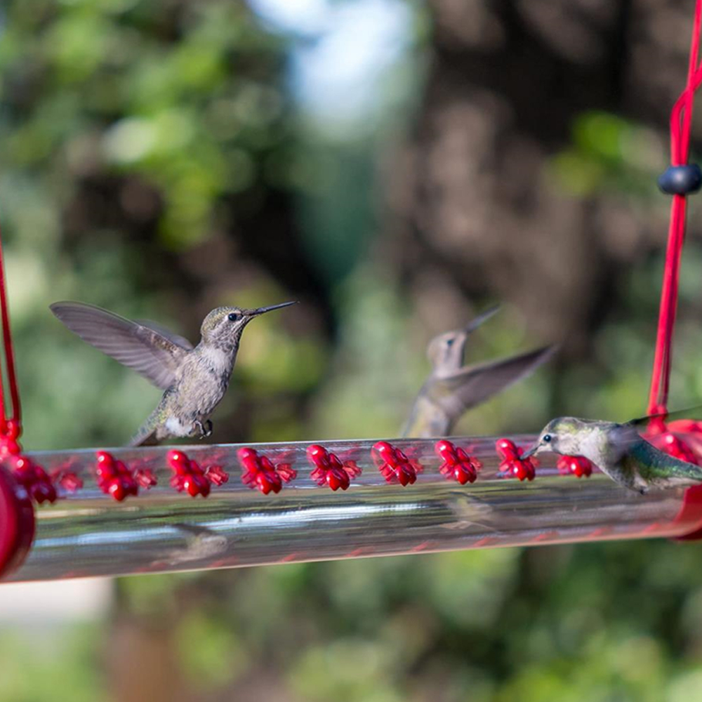 birdfriendshummingbirdfeeder1.png