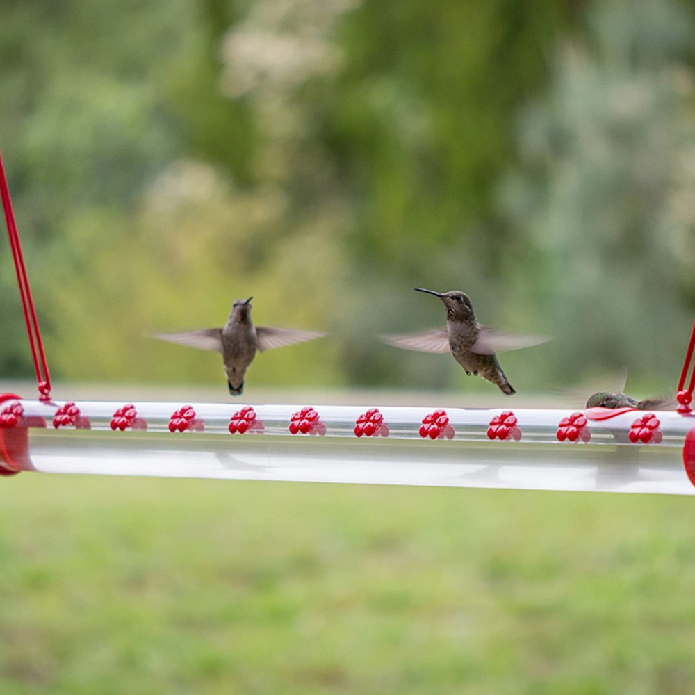 birdfriendshummingbirdfeeder4.png