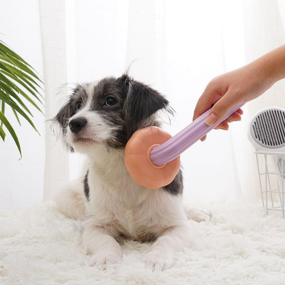 Pumpkin Pet Comb