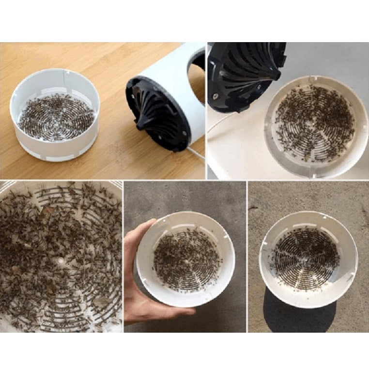 Safe mosquito solutions for households with pets