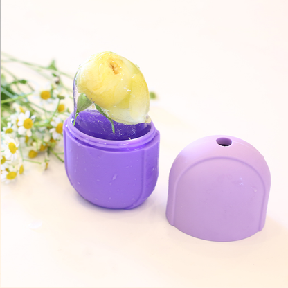 skinfrostsiliconeicemoldfacemassager2.png