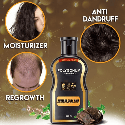 greyreversehairdarkeningshampoo3.png