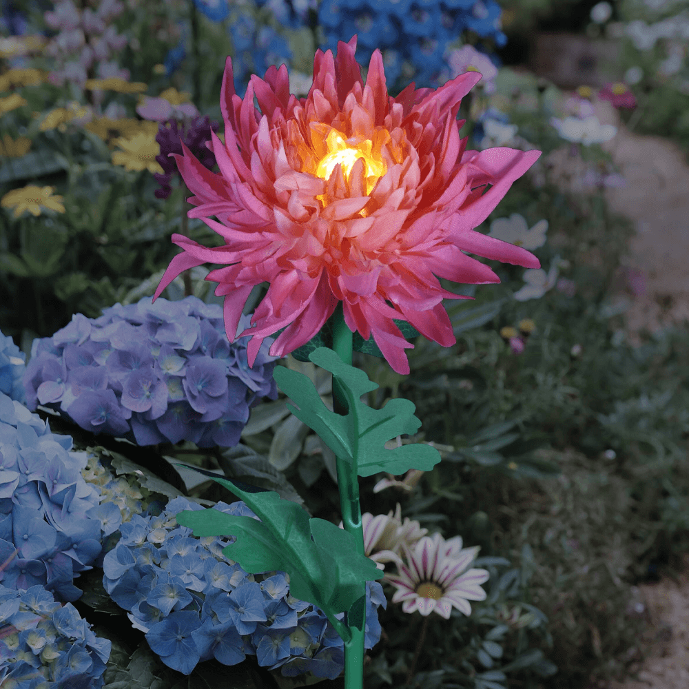 chrysanthemumsolargardenstakeledpink.png