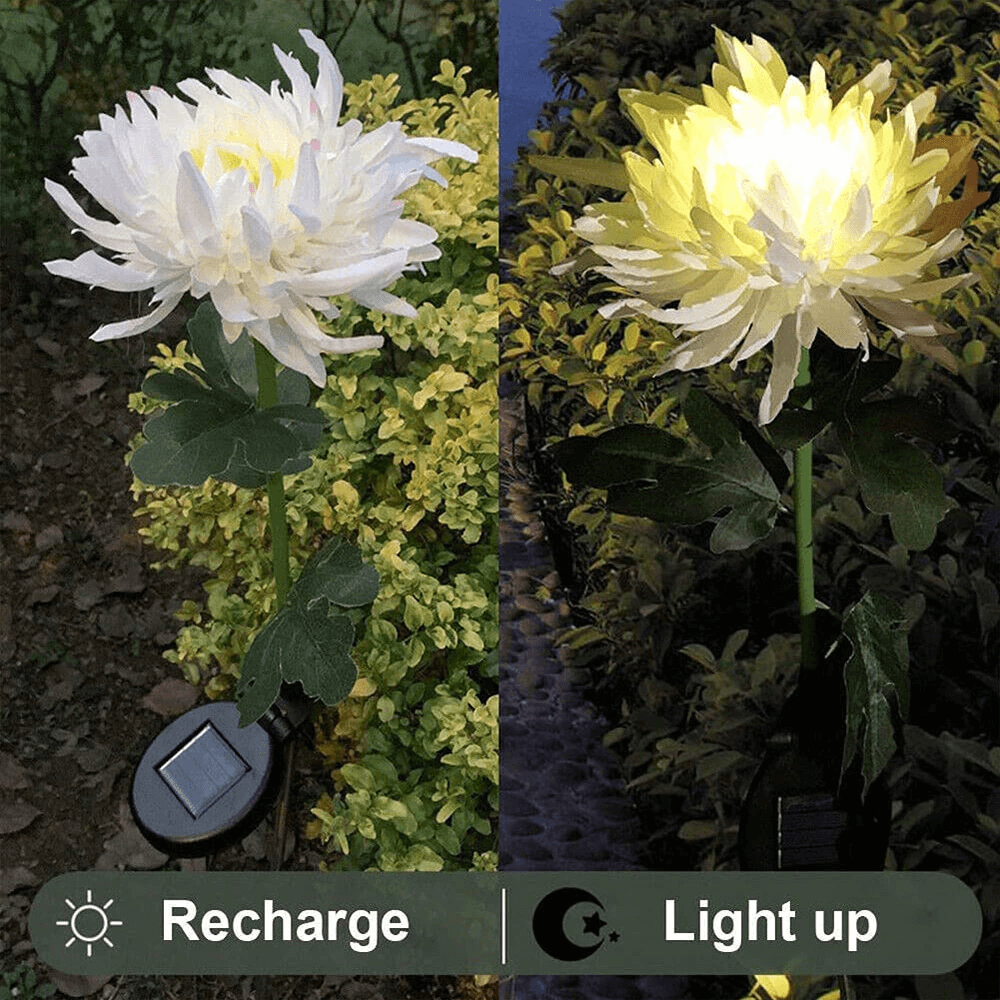 chrysanthemumsolargardenstakeled5.png