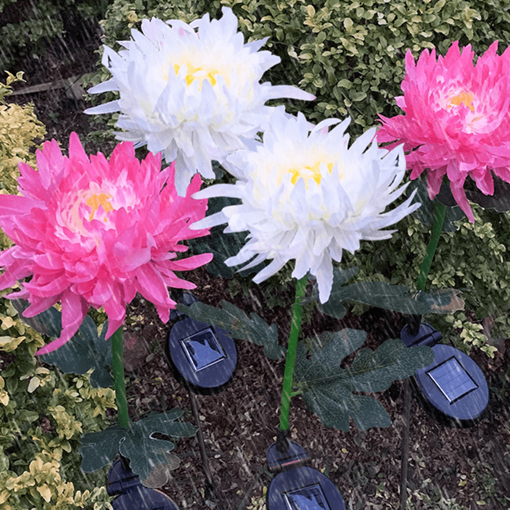 chrysanthemumsolargardenstakeled1.png