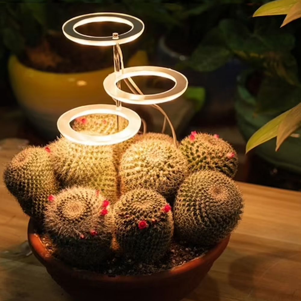 ringledplantgrowlight3.png