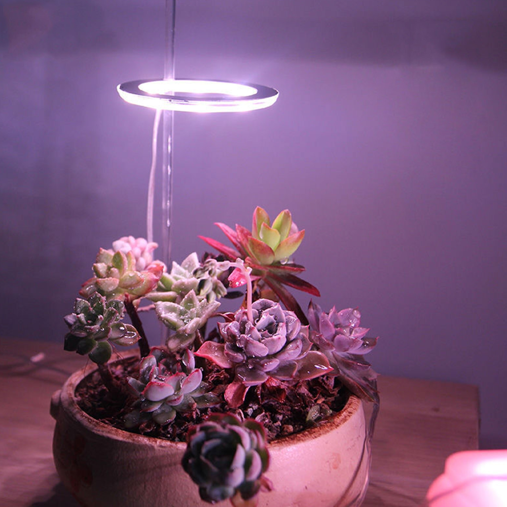 ringledplantgrowlight1head.png