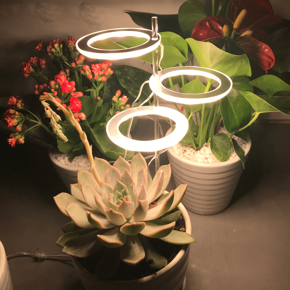 angelringgrowlight2.png