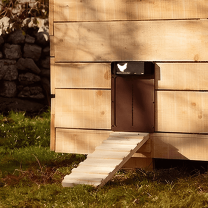 Automatic Chicken Coop Door with Timer – Electric Chicken Run Door