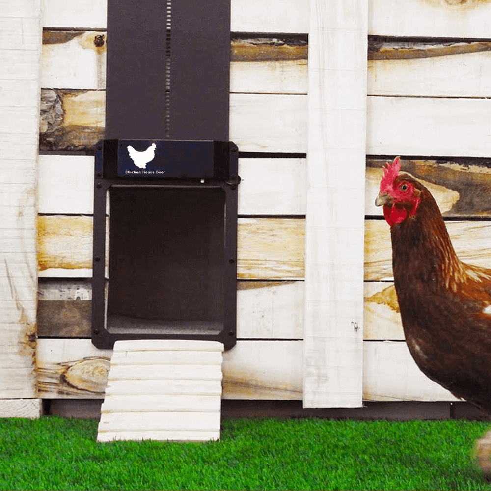 automatic chicken doors with timers