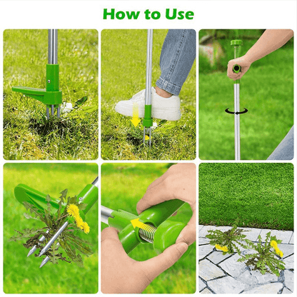 Efficient weed removal tool for backyard maintenance