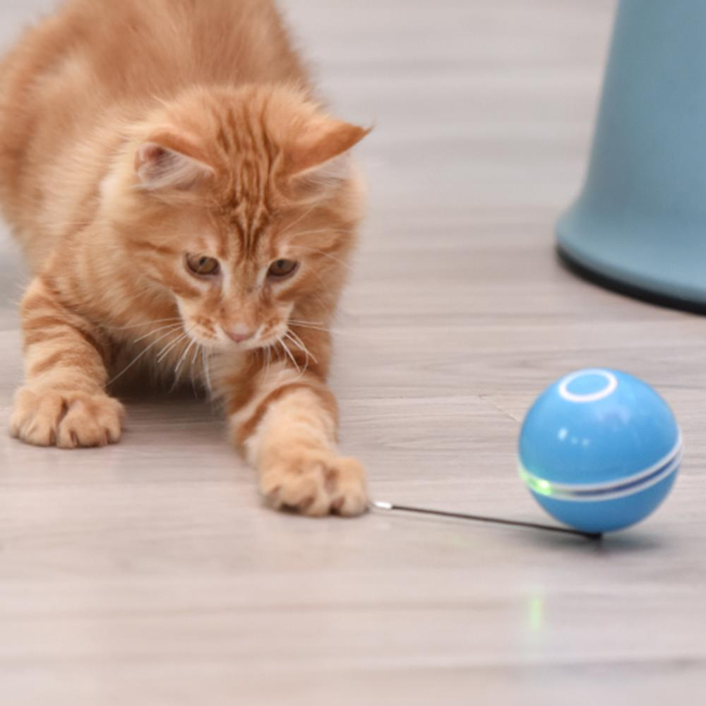 smartinteractiveselfrotatingcattoyball3.png