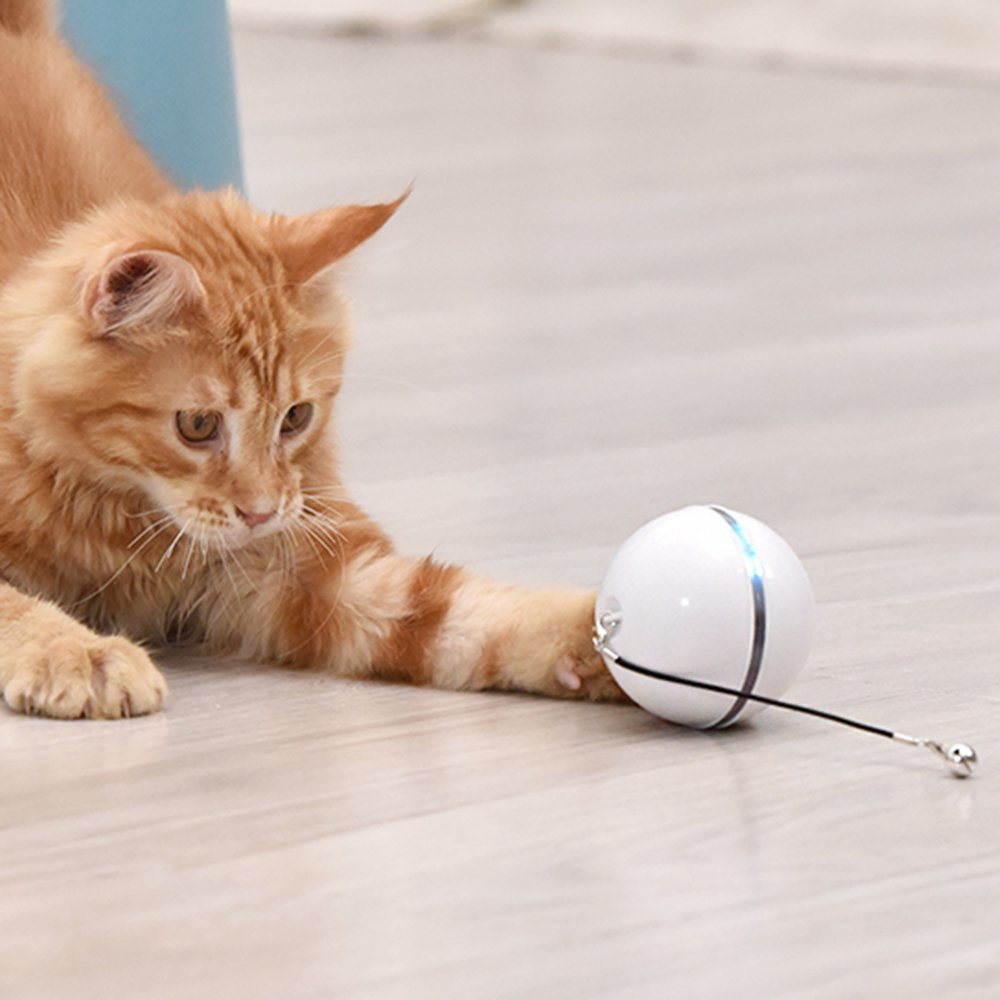 smartinteractiveselfrotatingcattoyballwhite.png