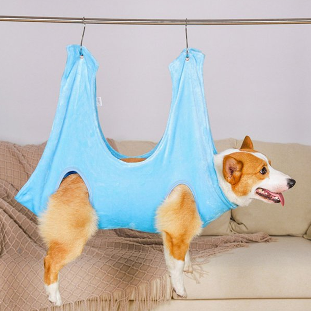 hammock for dogs