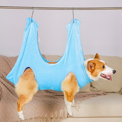 hammock for dogs