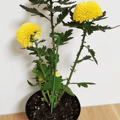 plantsupportstake2.png