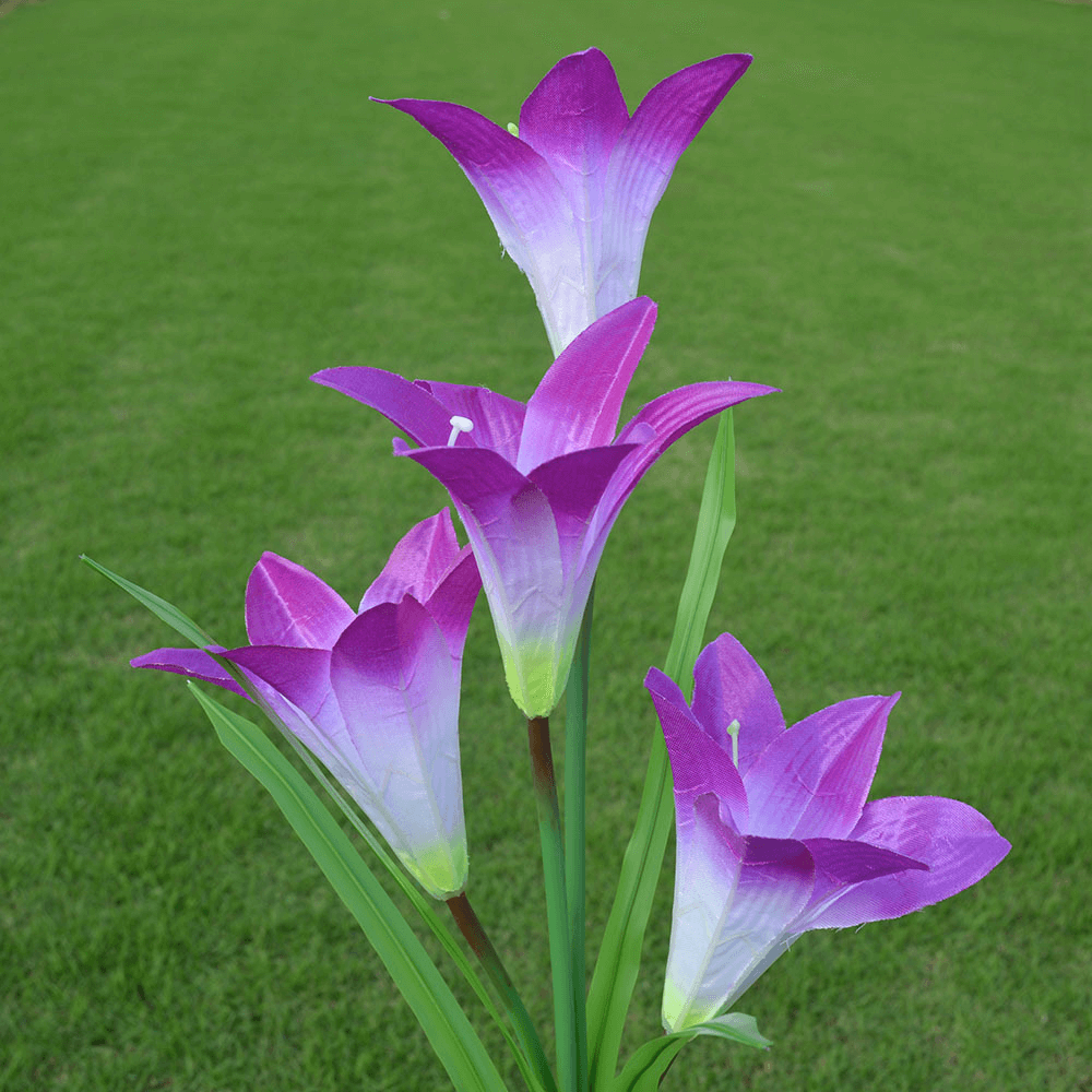 solarlilyflowerlightspurple.png