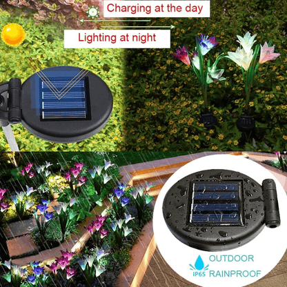 solarlilyflowerlights5.png