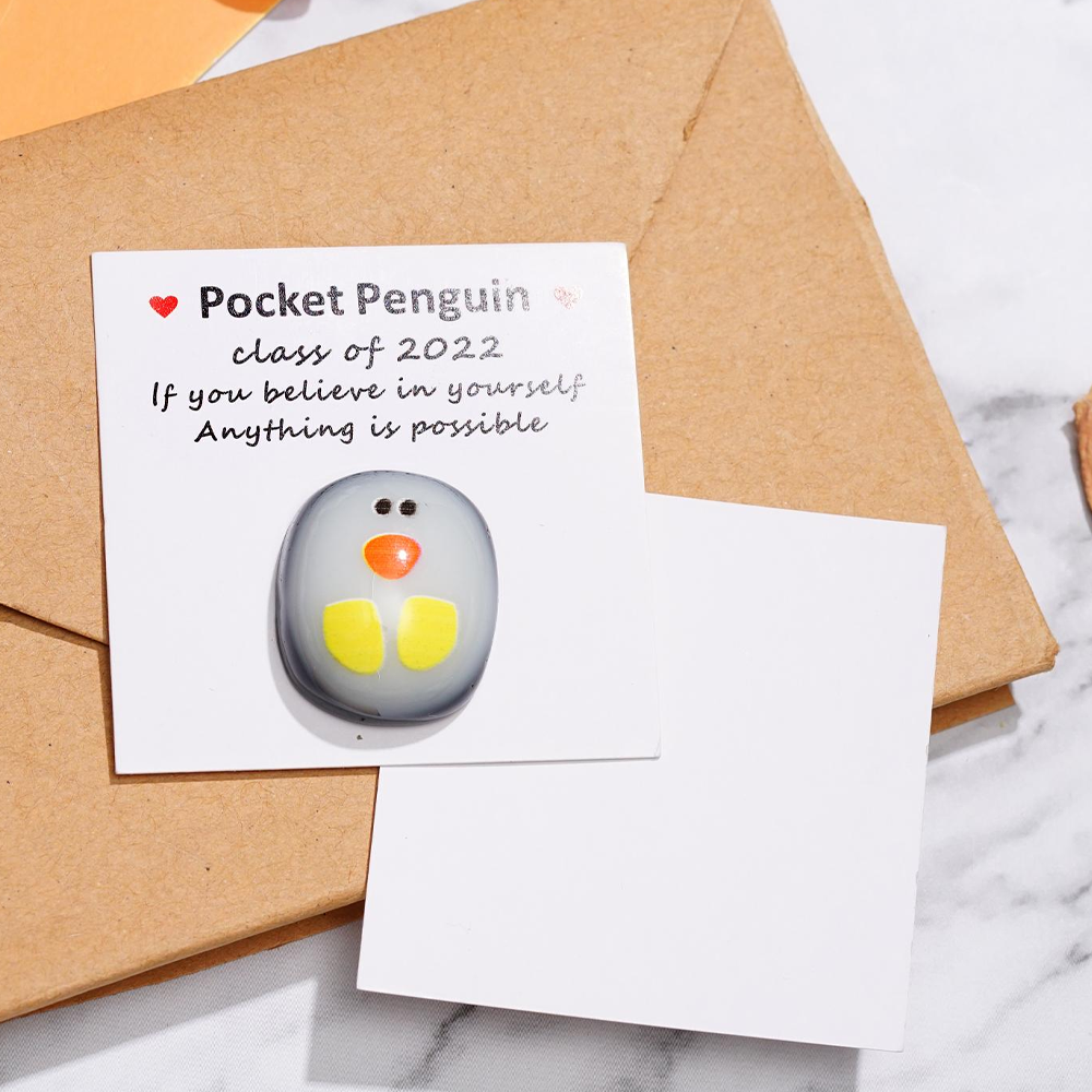 Mini Pocket Penguin Care-Bringing Hug 5