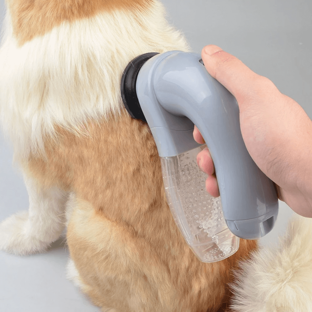 handheldvacuumforpethair2.png