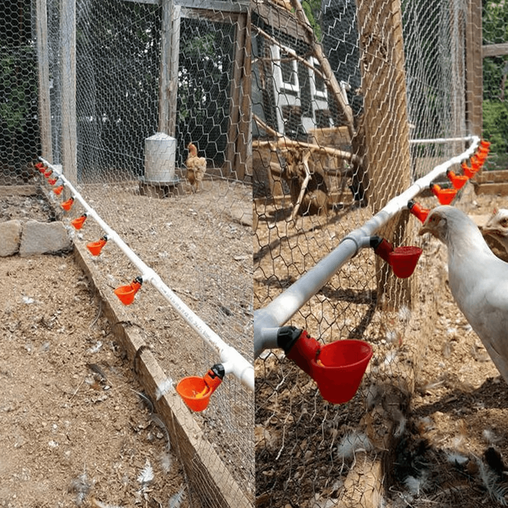 chickenwatercupspvc4.png
