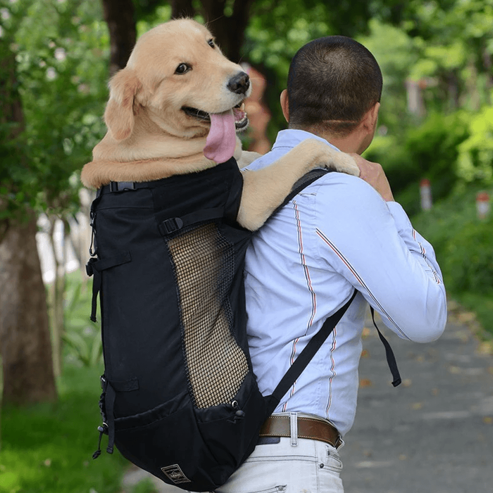 Dog Backpack Carrier