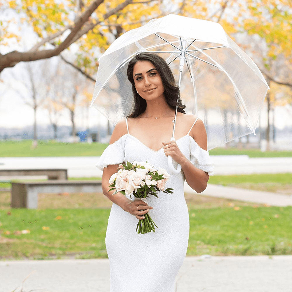 Manual Transparent Bubble Umbrella