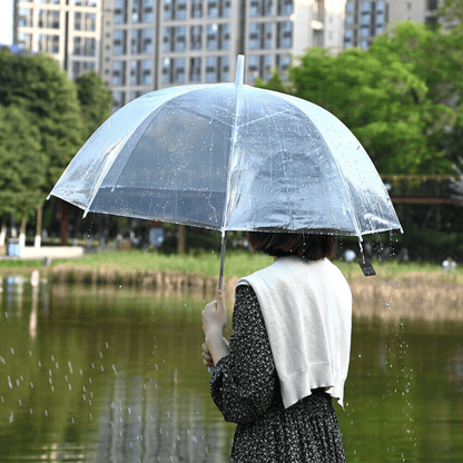 manualtransparentbubbleumbrella2.png