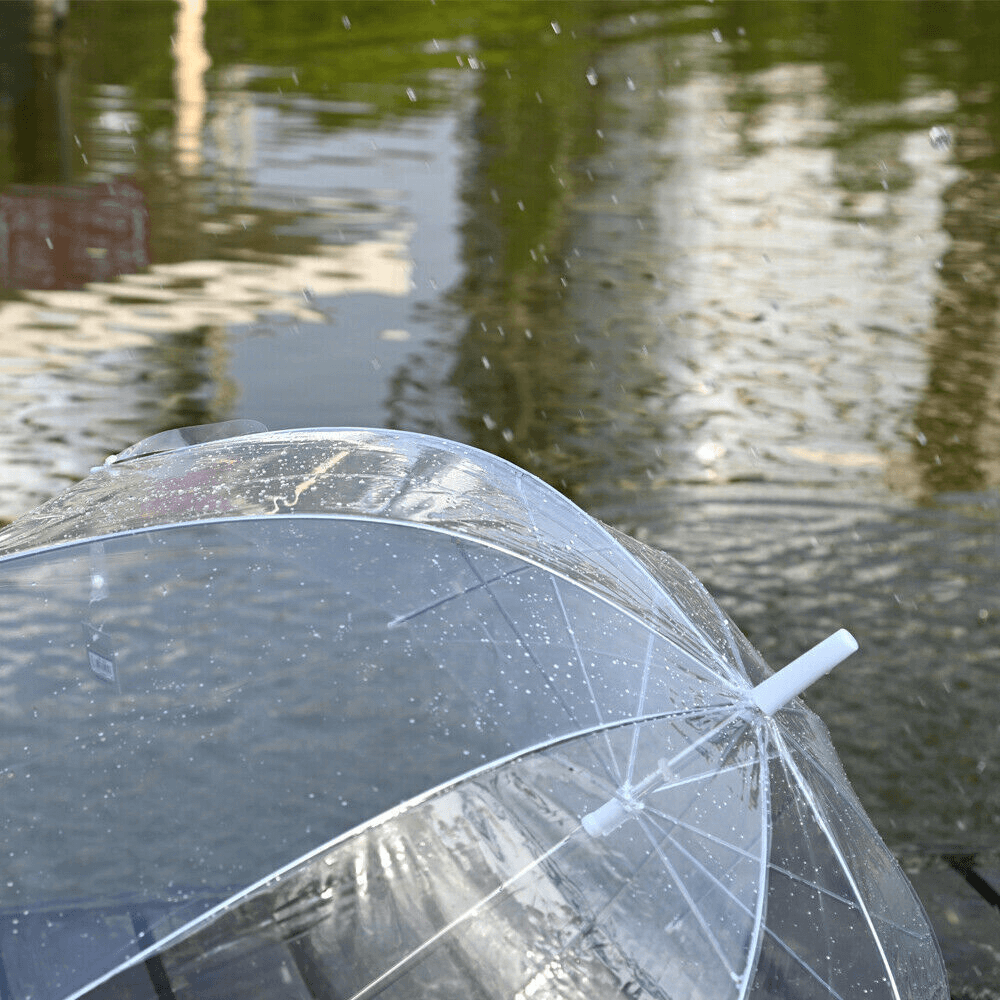 manualtransparentbubbleumbrella4.png