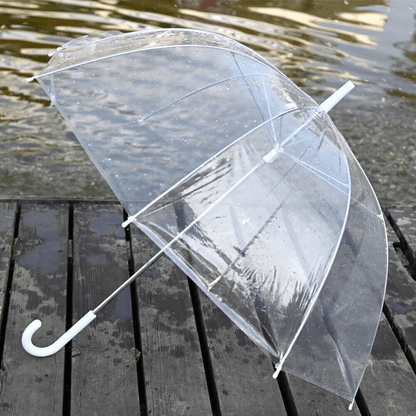 manualtransparentbubbleumbrella5.png
