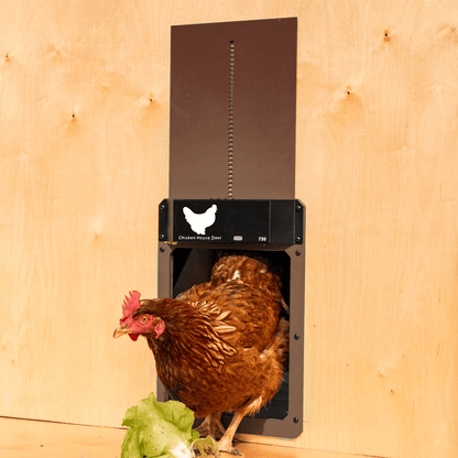 Chicken Coop Automatic Door