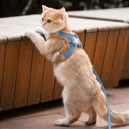 Luminous Cat Vest Harness