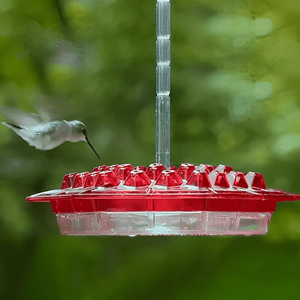 hummingbirdfeederwithbuiltinantmoat3png
