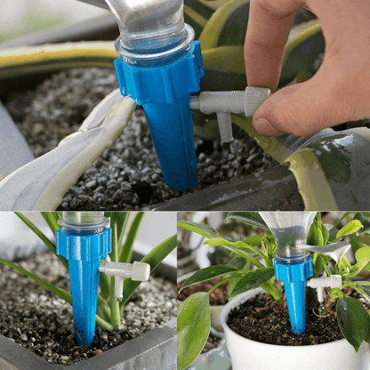 plantwaterfunnel6.png