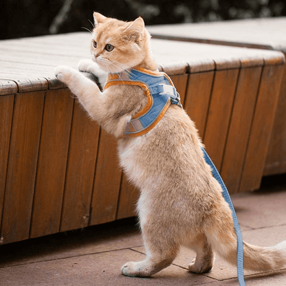Luminous Escape Proof Cat Harness