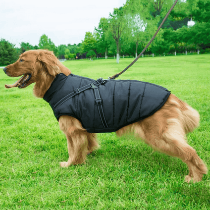 Waterproof Dog Jacket Harness