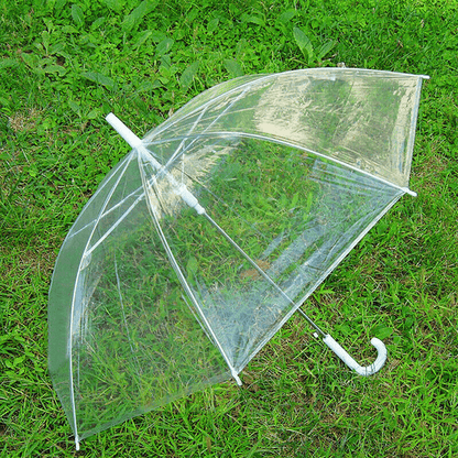 toteswomensclearbubbleumbrella4.png