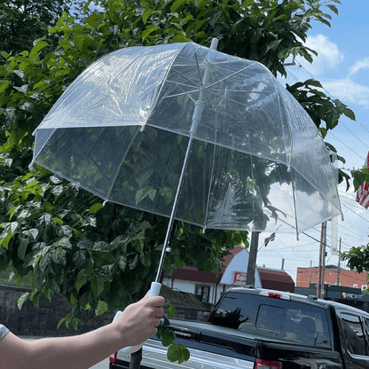 totesclearumbrella4.png