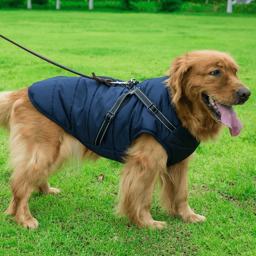 dogjacketharnessnavyblue (1).png