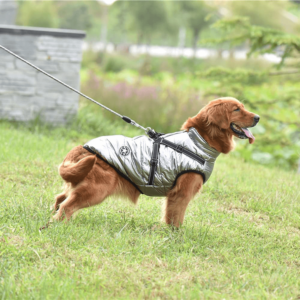 dogcoatwithzipperonbacksilvergray.png