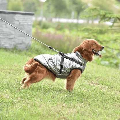dogcoatwithzipperonbacksilvergray.png