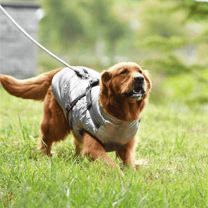 dogcoatwithzipperonback1.png