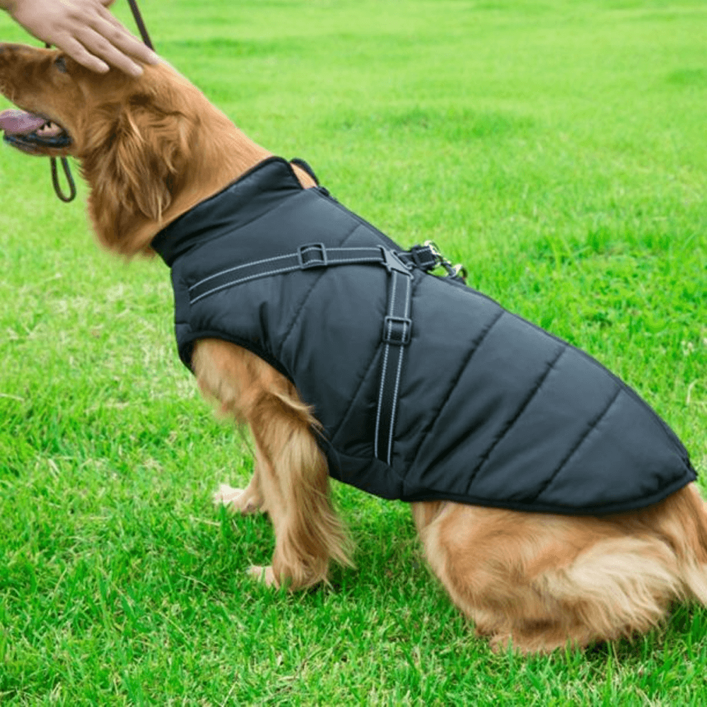 dogcoatwithzipperonback2.png