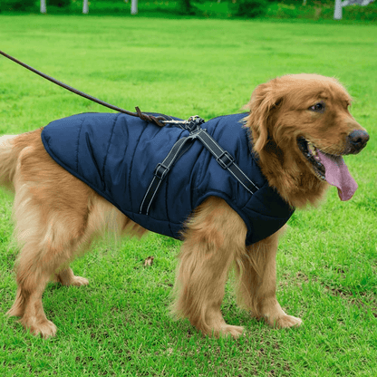 dogcoatwithzipperonbackblue.png