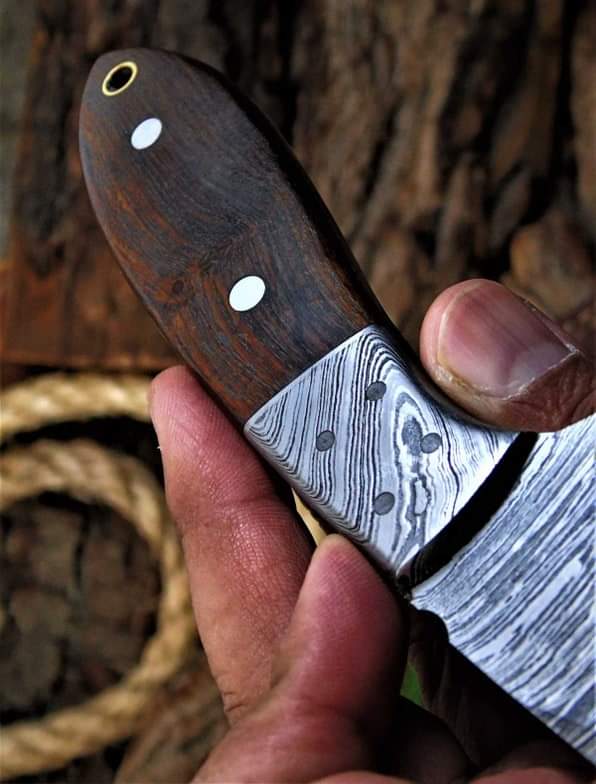 Carbon Steel knife near me