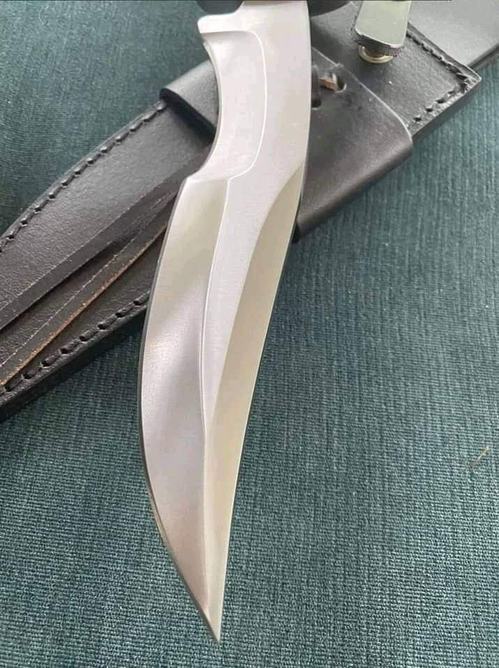 Stainless Steel Hunting Knife